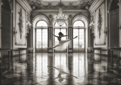 Picture of BALLERINA IN A PALACE HALL