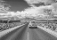 Picture of WANDERING IN THE USA