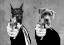 Picture of RESERVOIR DOGS