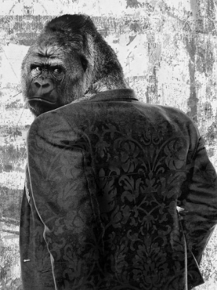 Picture of APE IN A SUIT