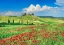 Picture of FARMHOUSE WITH CYPRESSES AND POPPIES- VAL DORCIA- TUSCANY 