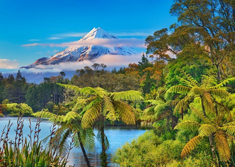 Picture of TARANAKI MOUNTAIN AND LAKE MANGAMAHOE- NEW ZEALAND