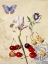 Picture of CABINET OF CURIOSITIES N. 1
