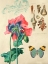 Picture of CABINET OF CURIOSITIES N. 3
