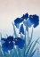 Picture of IRIS FLOWERS