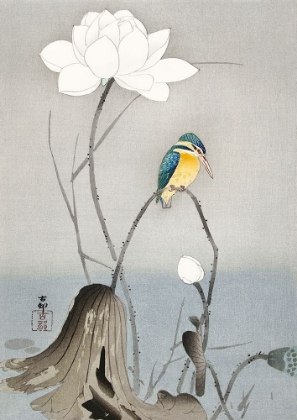Picture of KINGFISHER WITH LOTUS FLOWER