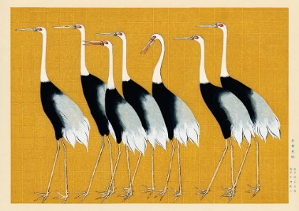 Picture of FLOCK OF JAPANESE RED CROWN CRANES