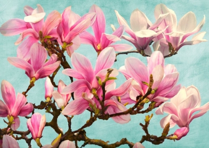 Picture of MAGNOLIA BRANCH - TURQUOISE
