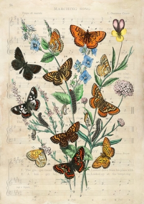 Picture of EUROPEAN BUTTERFLIES- AFTER KIRBY