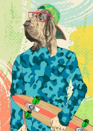 Picture of SKATERBOY