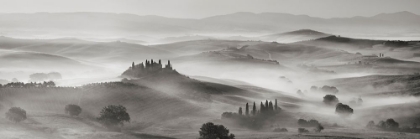 Picture of VAL DORCIA PANORAMA- SIENA- TUSCANY (BW)