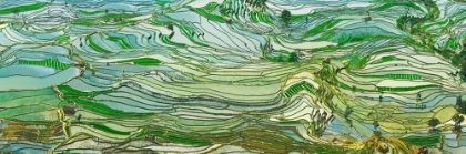 Picture of RICE TERRACES- YUNNAN- CHINA