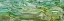 Picture of RICE TERRACES- YUNNAN- CHINA