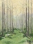 Picture of CUSTOM DELICATE FOREST I
