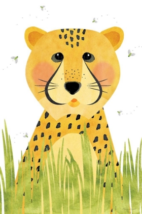 Picture of CHEETAH