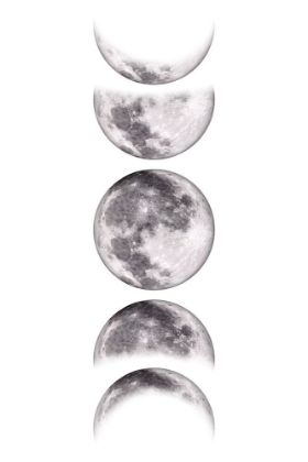 Picture of MOON PHASES VI