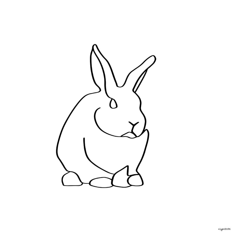 Somerset House Images. BUNNY LINES III