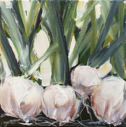 Picture of ONIONS