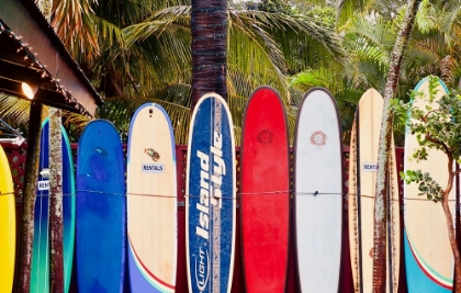 Picture of SURF BOARDS