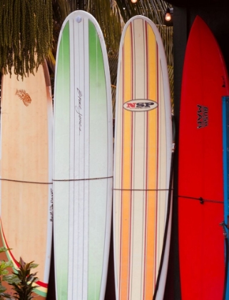 Picture of SURF BOARDS II