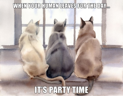 Picture of PARTY TIME