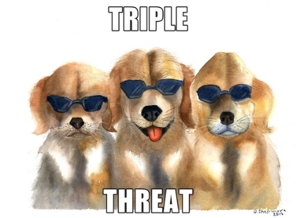 Picture of TRIPLE THREAT