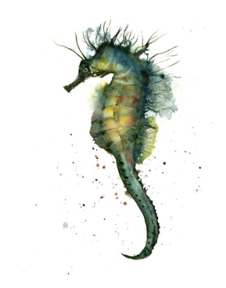 Picture of SEAHORSE II