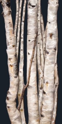 Picture of BIRCH TREE I