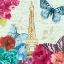 Picture of BELLES FLEURS À PARIS I
