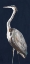 Picture of HERON AMONG NAVY PANEL I