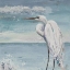 Picture of GREAT EGRET STANDING