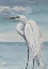 Picture of GREAT EGRET STANDING