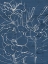 Picture of FLORAL SKETCH ON NAVY II
