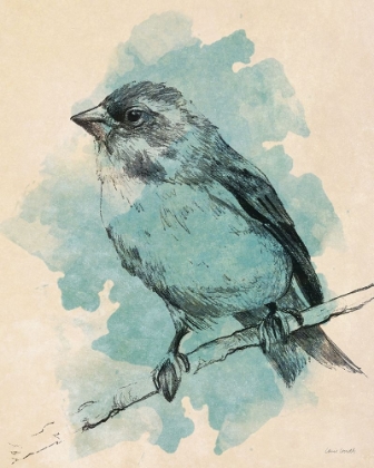 Picture of BIRD STUDY IN TEAL I