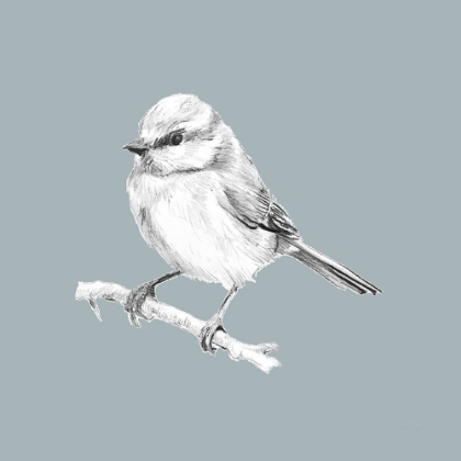 Picture of BIRD STUDY ON BLUE II