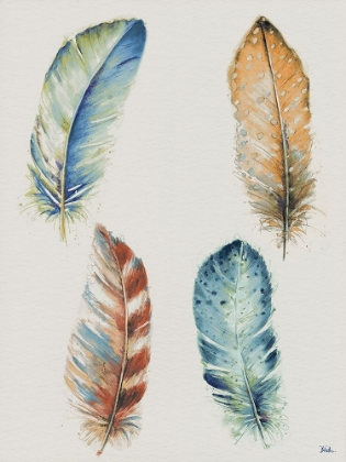 Picture of FOUR COLORFUL FEATHERS
