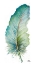 Picture of WHITE WATERCOLOR FEATHER VI