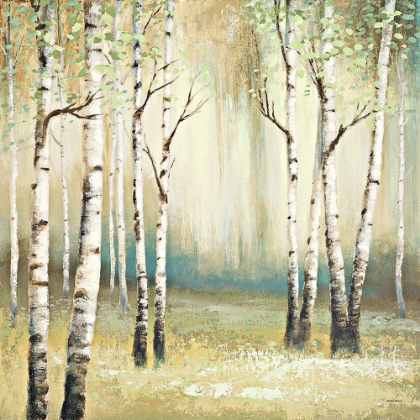 Picture of SUMMER BIRCH I