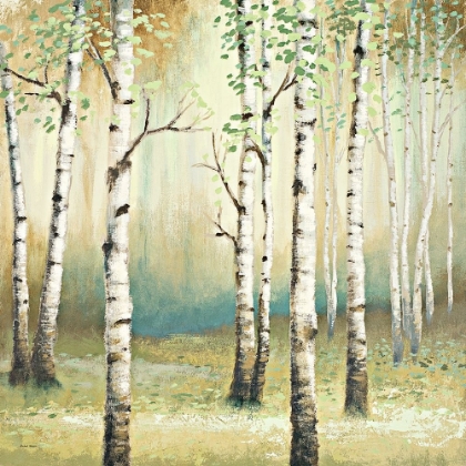 Picture of SUMMER BIRCH II