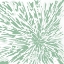 Picture of GREEN EXPLOSION