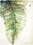 Picture of WATERCOLOR PLANTAIN LEAVES I