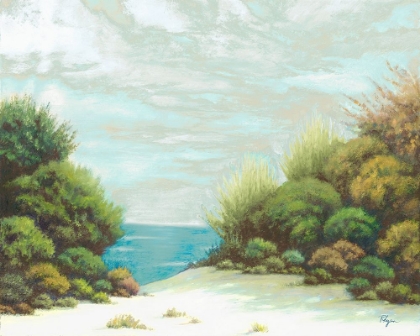 Picture of SEASHORE II