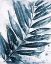 Picture of BLUE JUNGLE LEAF I