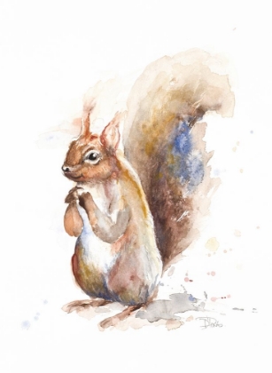 Picture of SQUIRREL