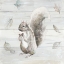 Picture of NEUTRAL SQUIRREL