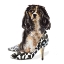 Picture of SHOE LOVERS