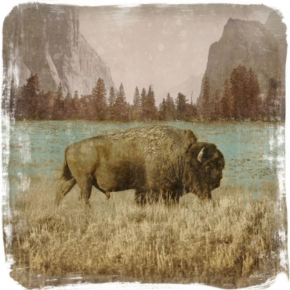 Picture of BISON IN THE PARK