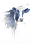 Picture of WATERCOLOR BLUE COW