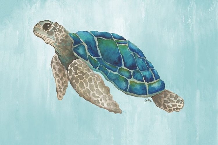 Picture of WATERCOLOR SEA TURTLE