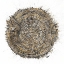 Picture of MYSTERIOUS TREE RING